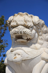 Chinese lion stone statue. Oriental statue