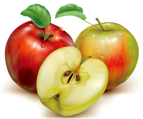 Vector whole and half of apples on white background