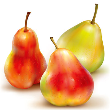 Three vector of pears on white background