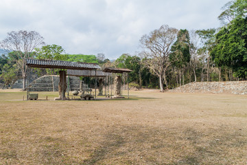 Fototapeta na wymiar Ruins and stelae at the archaeological site Copan, Honduras