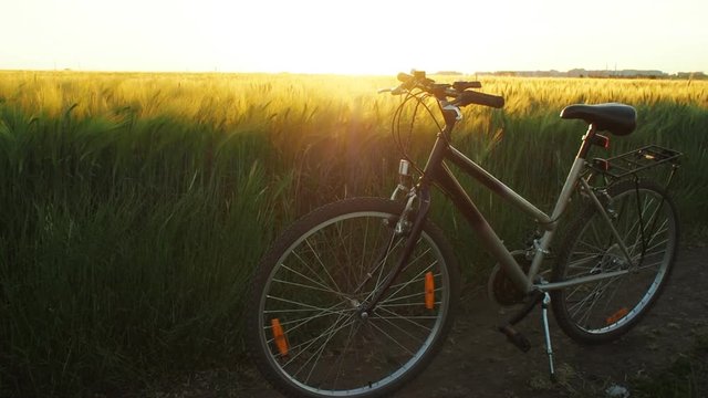 Bicycling in nature. A bicycle at sunset.