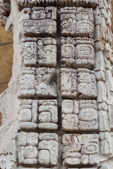 Maya hieroglyphs at the archaeological site Copan, Honduras