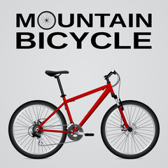 Mountain bike. Isolated object. Vector Image.