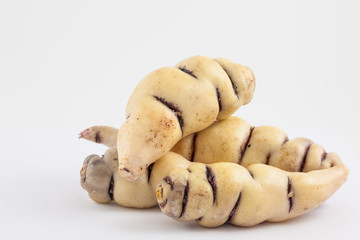 Cubios (Tropaeolum tuberosum) isolated on white background