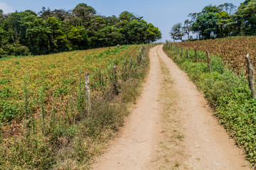 Fototapeta na wymiar Rural road and pastures in Protected Area Miraflor, Nicaragua