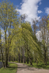Romantic Park in Arkadia in Poland