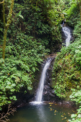 San Luis waterfall in a cloud forest of Reserva Biologica Bosque Nuboso Monteverde, Costa Rica