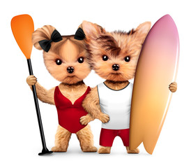 Obraz premium Animals wearing swimwear hold surf and paddle