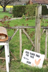 free range eggs for sale farm shop, sign advertising free range eggs at farm shop