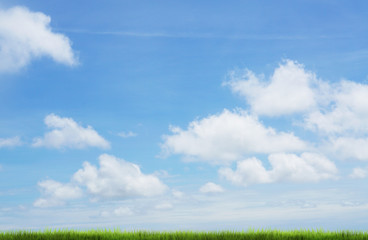 Fototapeta na wymiar light blue sky and green meadow 3d rendering