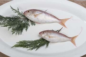 Fish service