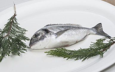 Fish service