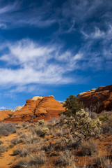 Perfect Day in Snow Canyon State Park