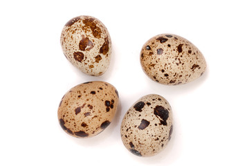 Obraz premium four quail eggs isolated on white background. Top view