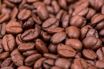 Close-up of coffee beans