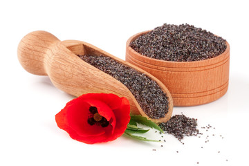 Poppy seeds in a wooden bowl and scoop with a flower