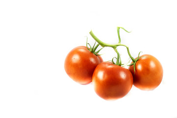 Three tomatoes on white background