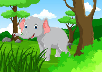The young elephant walking in the lush forest
