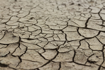 Drought earth with cracks.