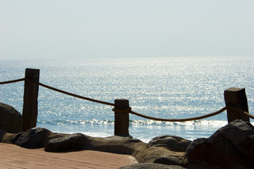Obraz premium San Diego, USA, Landscape and Wild Life
