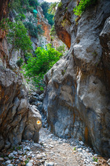 Kritsa Gorge near Agios Nikolaos on Crete, Greece