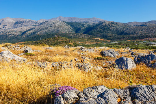 Majestic view of cretan landscape at sunset, Malia, Crete