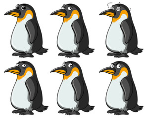 Penguins with different facial expressions