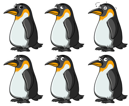 Penguins with different facial expressions