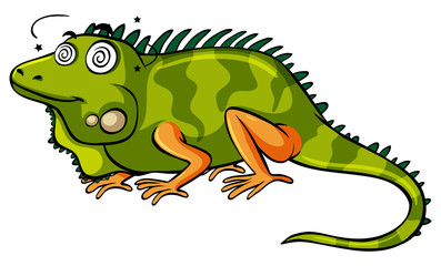 Green iquana with dizzy face