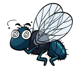 Housefly with dizzy face