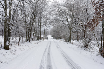 Wintry Road