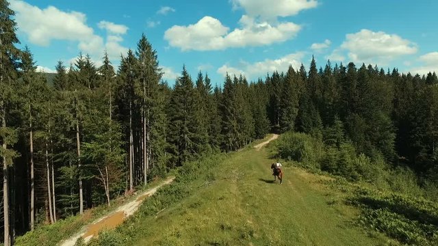 Man rides horse. National clothes