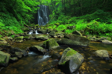 夏の亀田不動滝