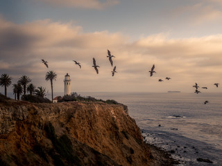 Pelicans flying around a lighthouse on a cliff