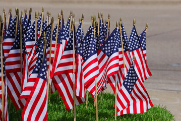 groups of USA flags on the meadow