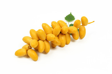 Raw yellow date palm or Dates, healthy fruit