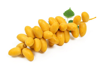 Raw yellow date palm or Dates, healthy fruit