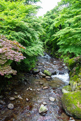 雨上がりの熱海梅園初川清流
