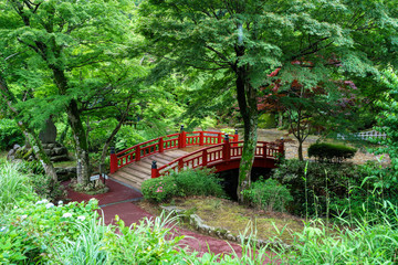 雨上がりの熱海梅園駐杖橋