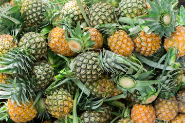 The group of fresh pineapple as pettern