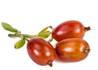 Currant berries isolated on white background