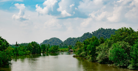 Fototapeta premium Canal forest