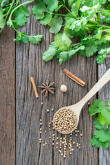 Coriander seed and leaf on wood background. Top view.