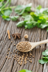 Coriander seed and leaf on wood background.
