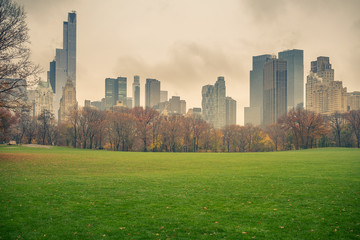 Central park at rainy day, New York City, USA