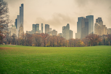 Fototapeta premium Central park at rainy day, New York City, USA