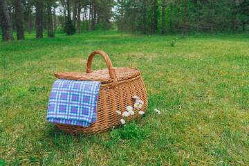 Picnic basket and blue white checkered napkin on forest lawn