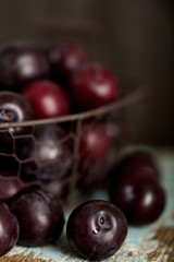 Ripe plums on a dark background. Macro photo.