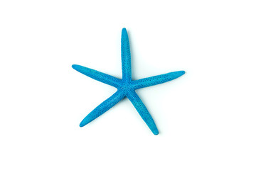 Fototapeta na wymiar Blue starfish isolated on white background,Clipping Path.
