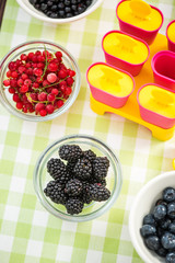 Summer popsicles home made from berry fruits